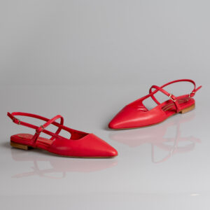 Sagias Andromachi (κωδ: MK 1003/1,5-0)